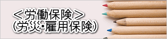 ＜労働保険＞ （労災・雇用保険）