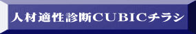 人材適性診断ＣＵＢＩＣチラシ 
